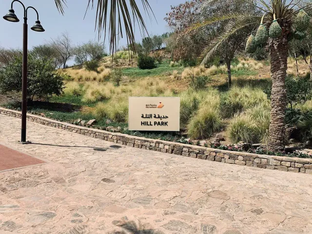 שביל מרוצף לאורך קיר אבן נמוך ומדרון מגונן בעשבי נוי ודקלים
