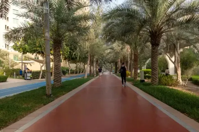 שביל הליכה אדום בין שדרות דקלים, עם שני הולכי רגל מתרחקים