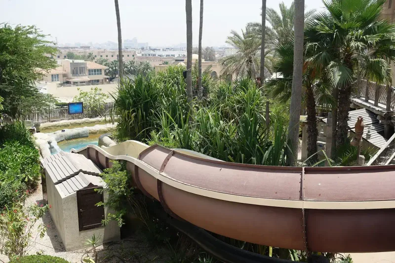 מגלשת מים מתפתלת בין דקלים מעל בריכה