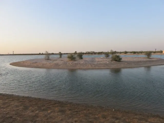 אגם שקט במדבר עם אי חול נמוך ושיחים דלילים