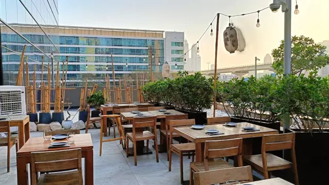 מרפסת עם שולחנות עץ, שיחים בעציצים, נורות מתוחות ובניינים ברקע